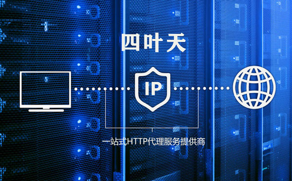 【舟山代理IP】代理IP的主要用途和使用注意事项